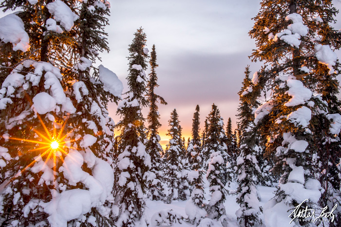 Sunrise during Winter Solstice - Nathan Belz Photography - Fairbanks Alaska