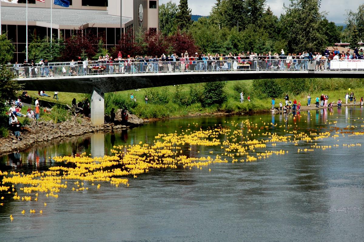8,000 yellow rubber ducks floating in the Chena River with spectators on bridge.