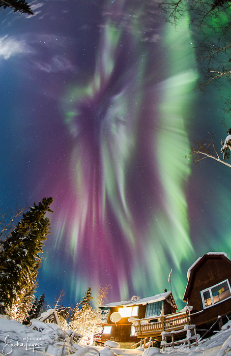 Nature's Fireworks - Sacha Layos of Midnight Oil Photography - Fairbanks Alaska