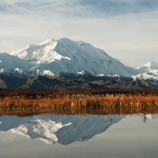 Snow covered mountain with orange and red autumn colors in foreground