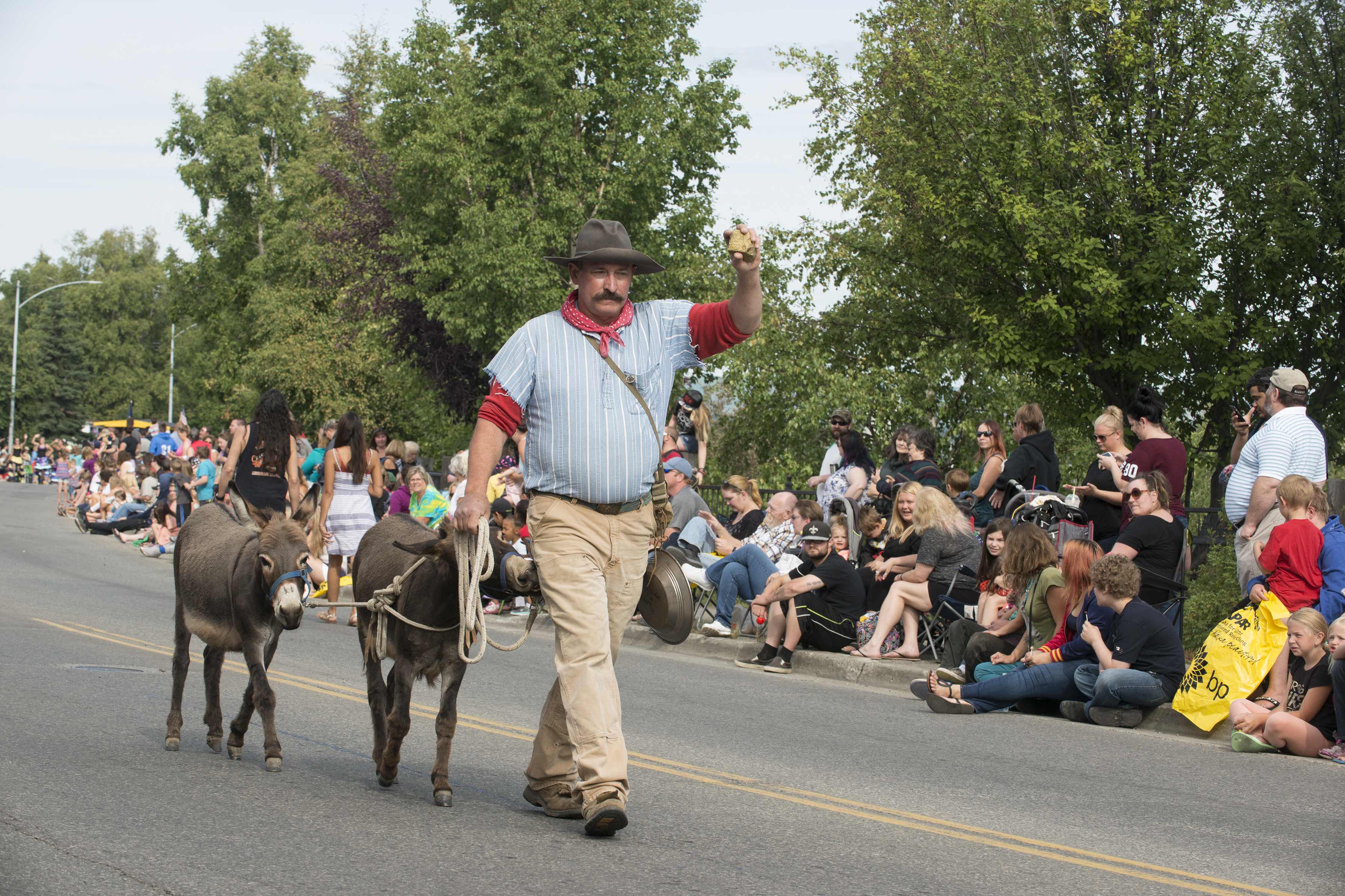 A Felix Pedro look-alike with two donkeys walking in the Golden Days Parade.