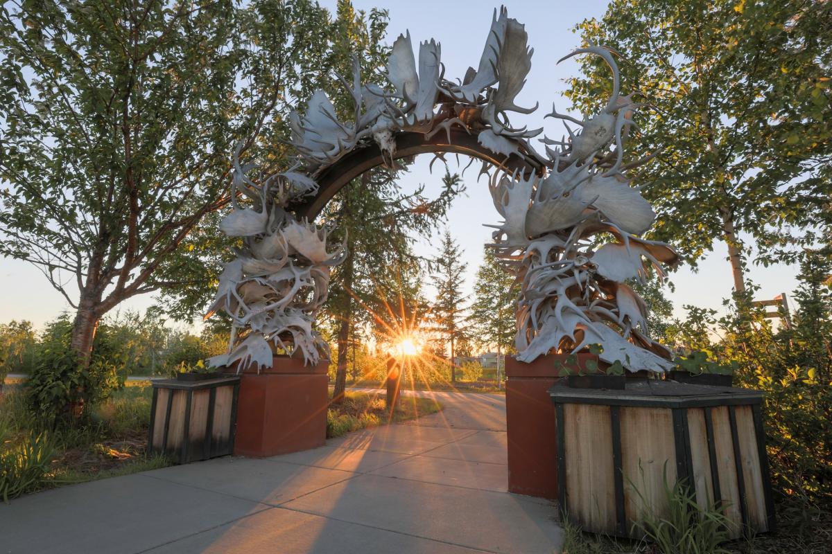 Antler Arch Midnight Sun