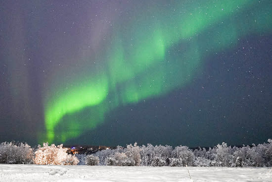 Mickee McGuire Green bands of aurora over Creamer's Field in Fairbanks, Alaska