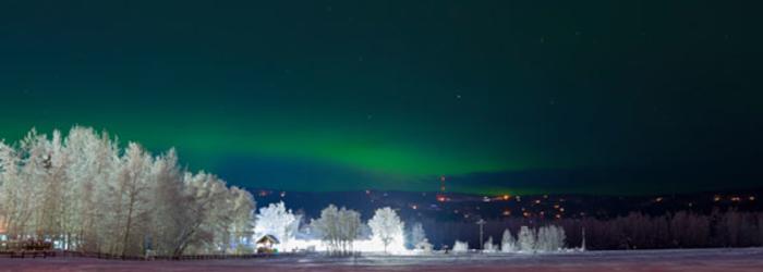 Aurora At Creamer's Field - Fairbanks, Alaska