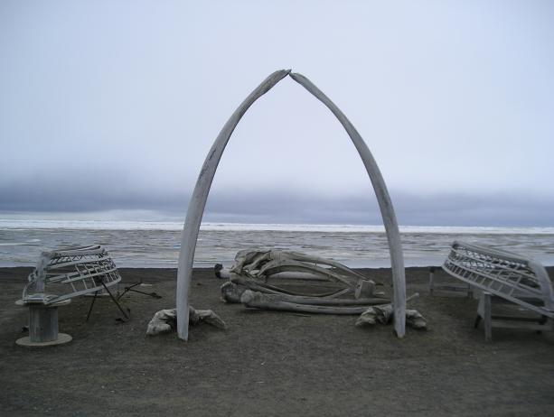 Utqiagvik - Latitude 71}