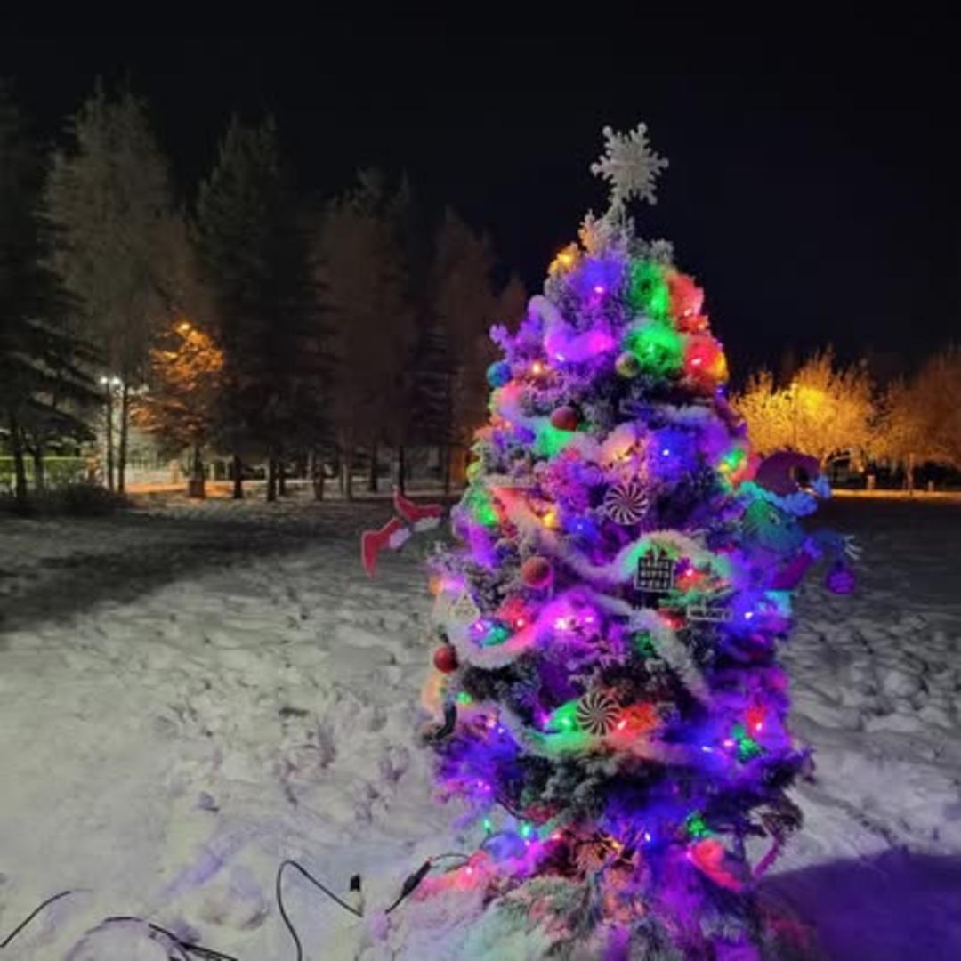 A colorful decorated Christmas tree at the Winter Solstice Festival.