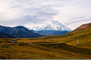 A bus driving through Denali surrounded by rolling hills, tundra, and snowcapped mountains.