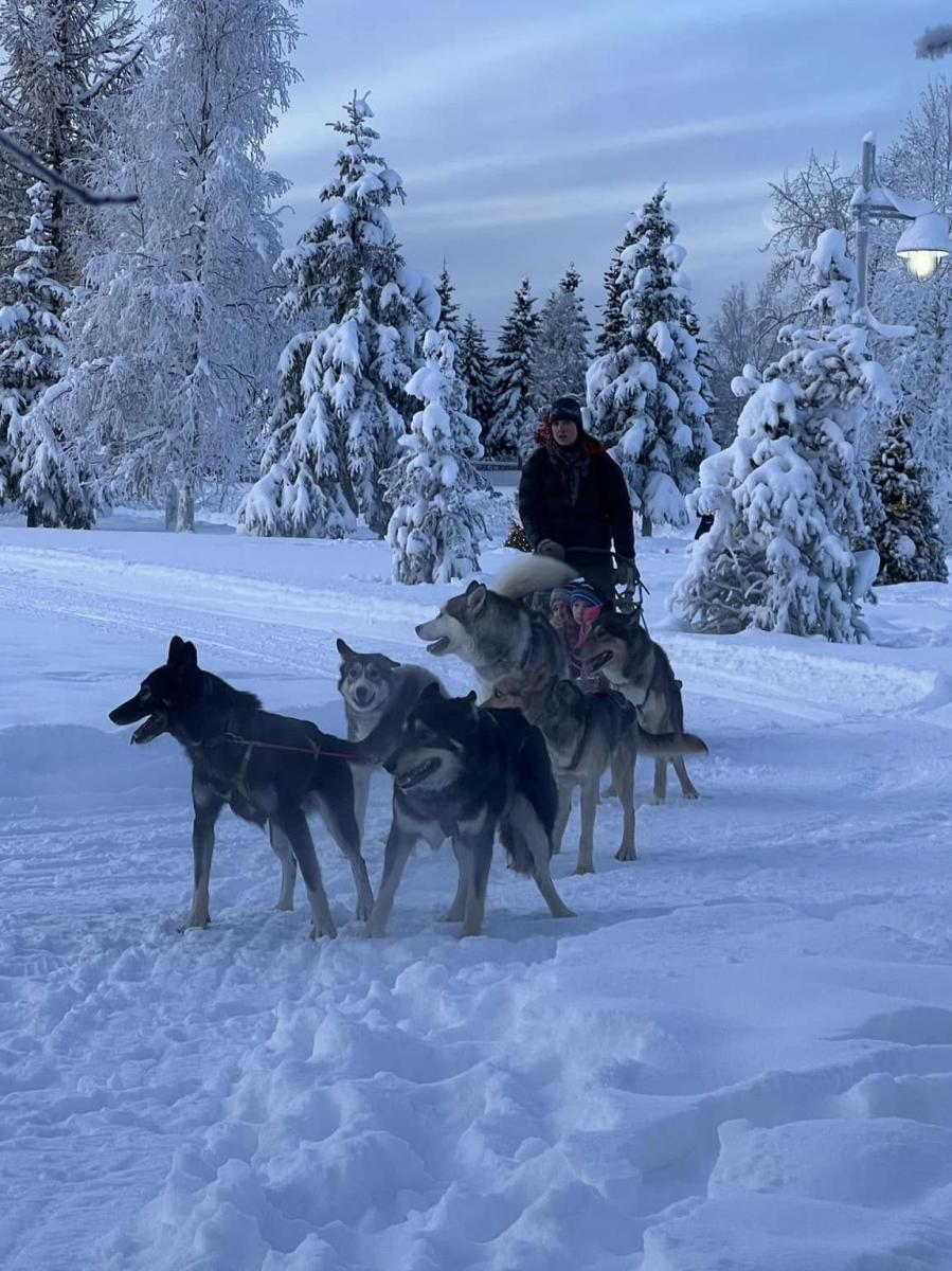 A team of sled dogs pull people across a snowy path.