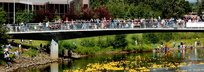 Golden Days Rubber Duckie Race Fairbanks Alaska