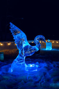 A glowing blue ice sculpture of a large bird at the World Ice Art Championships in Fairbanks, AK.