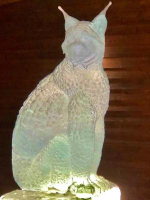Amy Geiger/Explore Fairbanks An medium sized out door lighted ice sculpture of a Lynx