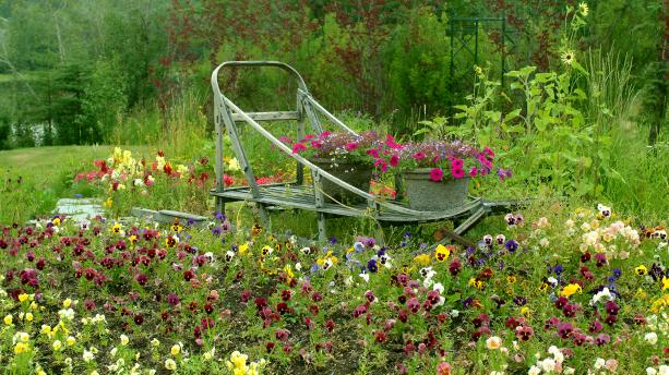 Services - Visitors}