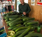 Tanana Valley Farmers Market