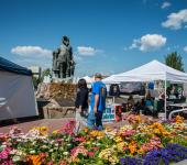 Midnight Sun Festival