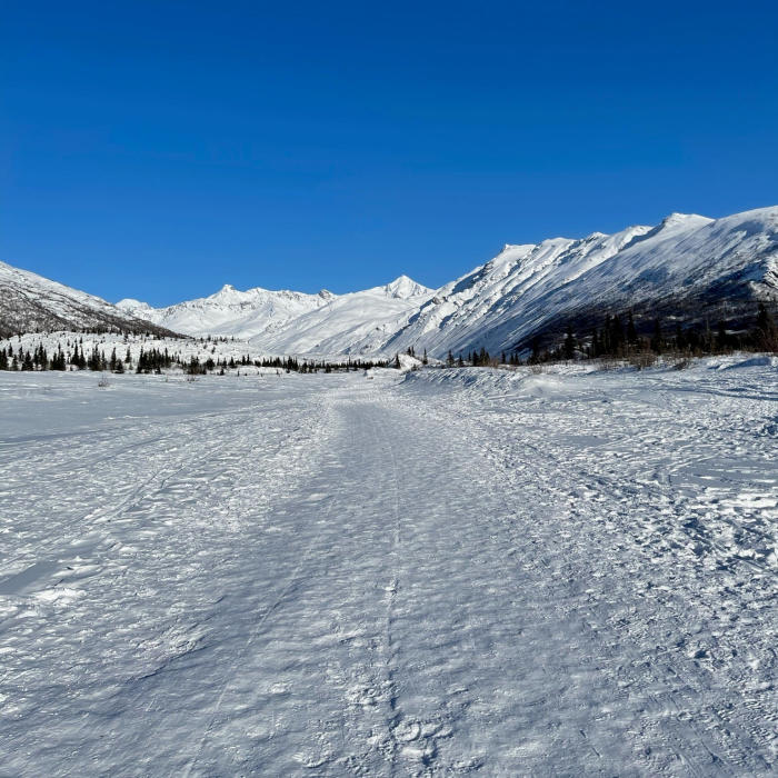 Amy Geiger Explore Fairbanks Mountains and snowy path on hike to Castner