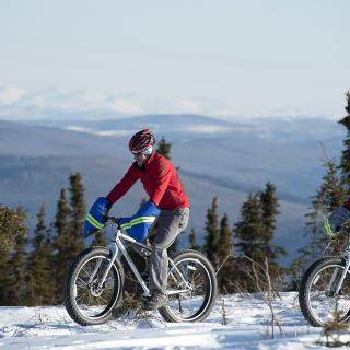 Two people biking through spruce trees in the winter. Landscape of hills and snow-covered mountains in background.